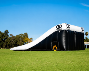 Pro NextStep Airbag Landing